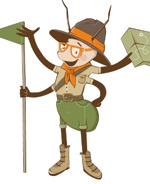 Rick Risikoscout